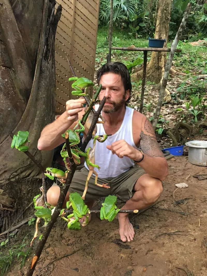 Harvesting Kambo medicine