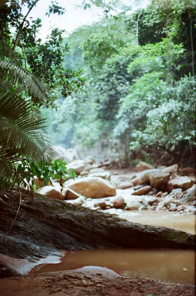 Bathing at Cachiyacu