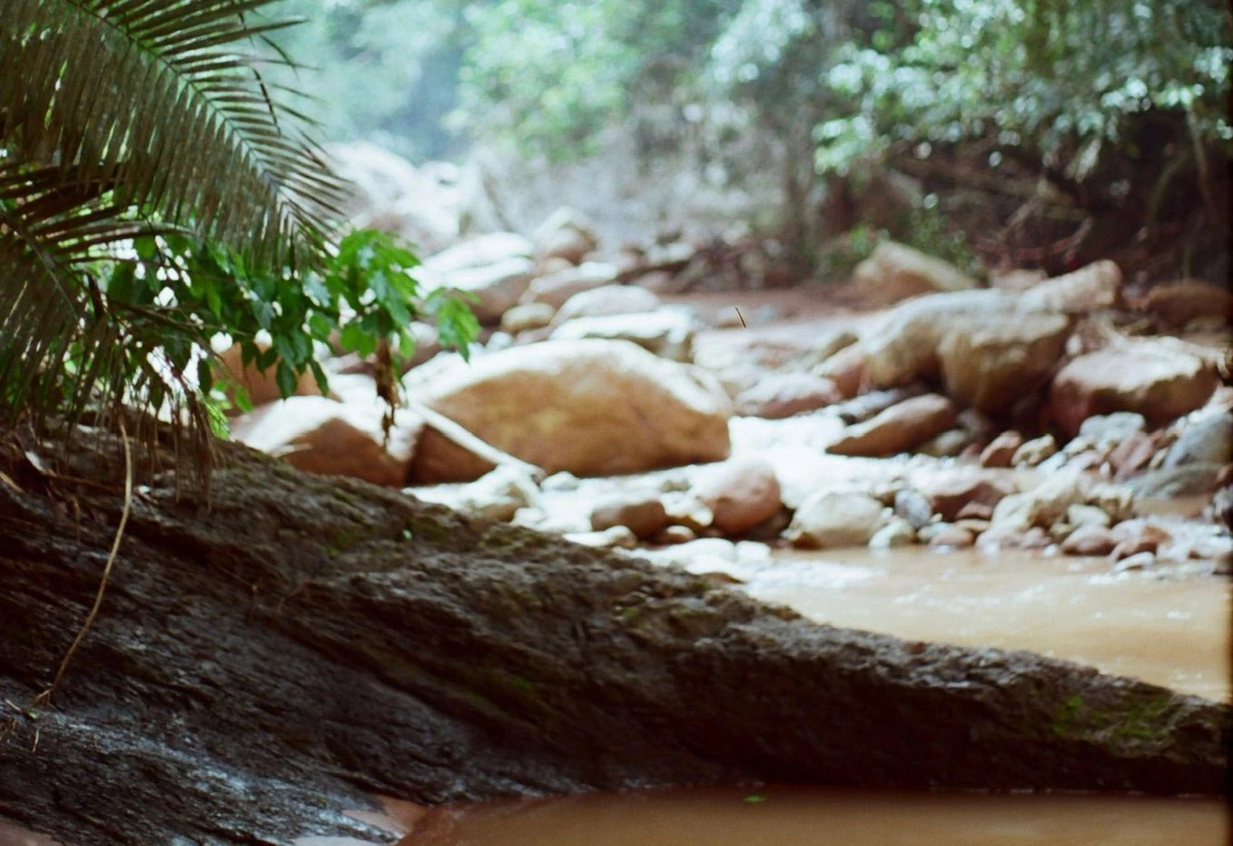 John bathing in a rainforest river near Tarapoto