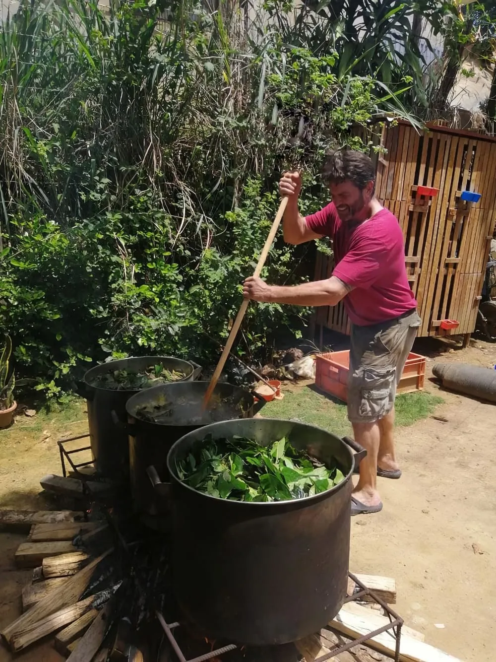 Preparing Ayahuasca