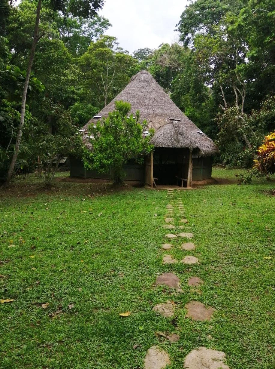 The maloca at Nova Terra surrounded by forest