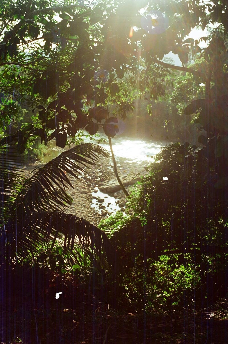 Sunlight through rainforest trees above the Cumbaza River