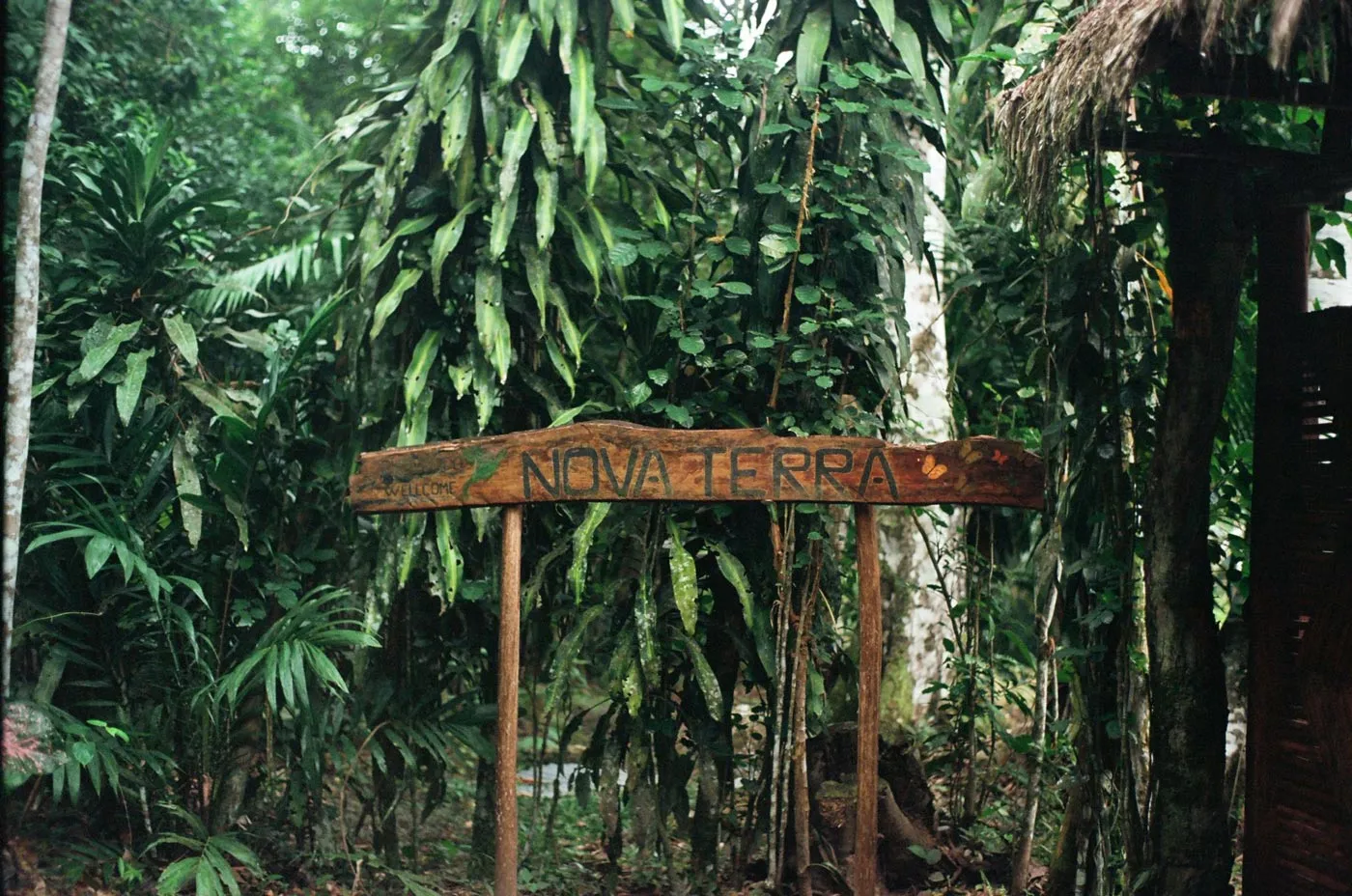 Nova Terra plant dieta retreat centre near Tarapoto
