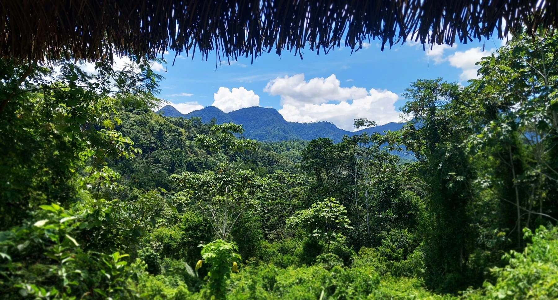 Forest-covered mountains viewed from the Peruvian Amazon