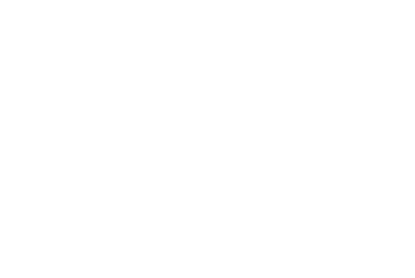 Heroic Hearts Project